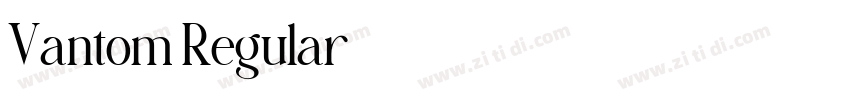 Vantom Regular字体转换 Vantom Regular字体转换